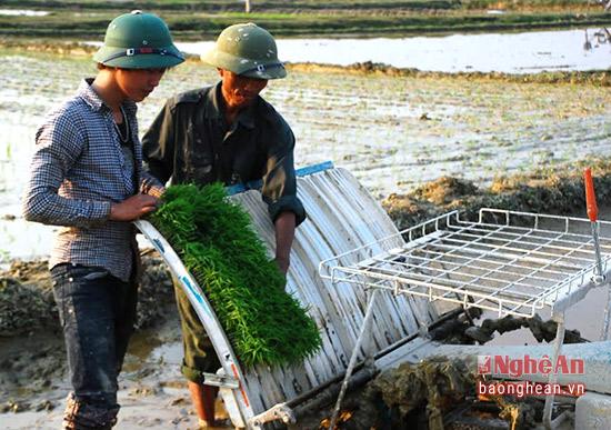 nghe an: san xuat ma khay va cay bang may hinh anh 6