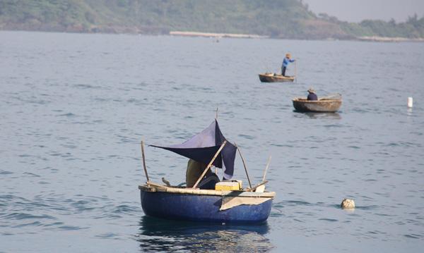 sau tet, ngu dan bat tom hum con kiem gan "ngan do" moi chuyen hinh anh 3