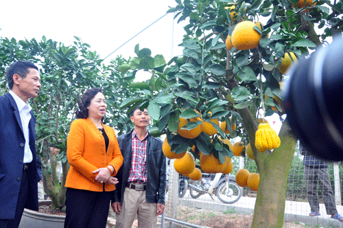 Thanh Oai “làm chắc, thắng nhanh”