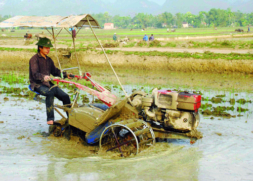 hoi ha don nuoc dot cuoi de gieo cay vu xuan hinh anh 1