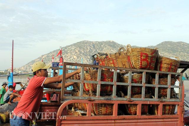 ninh thuan: ra khoi dau nam, ngu dan phan khoi trung gia ca com hinh anh 2