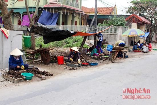 nhon nhip mua thu hoach 'than duoc' cho quy ong hinh anh 8