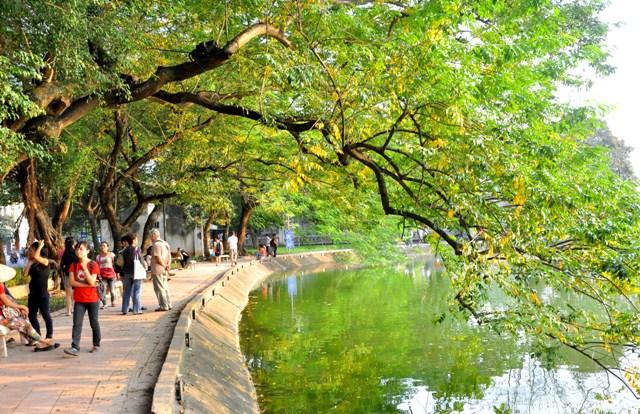 du bao thoi tiet hom nay (20.2): ha noi troi nang, it may, nhiet do cao nhat 20 do c hinh anh 1