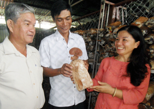 nam linh chi do “ben duyen” dao ngoc hinh anh 1