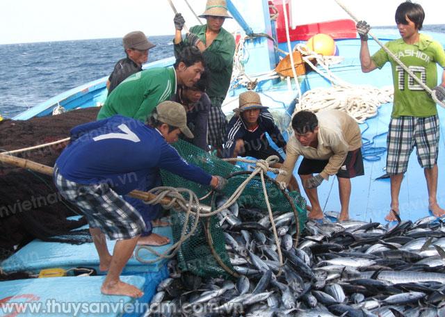 Mục tiêu phát triển bền vững, bảo vệ môi trường biển, khai thác hiệu quả tài nguyên từ đại dương