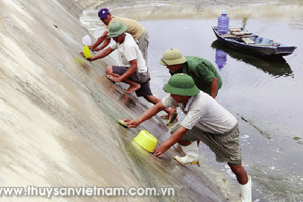 Để bước vào vụ nuôi mới thuận lợi