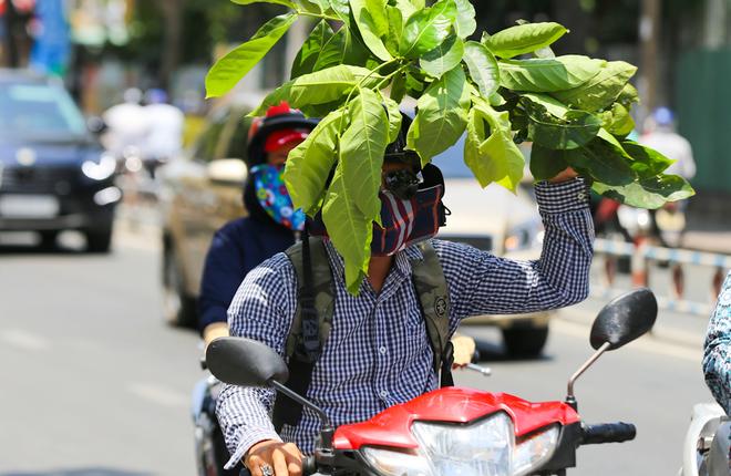 tin-thoi-tiet-ngay-184-bac-bo-nang-nhe-nam-bo-nang-nong-giadinhvietnam.com 1