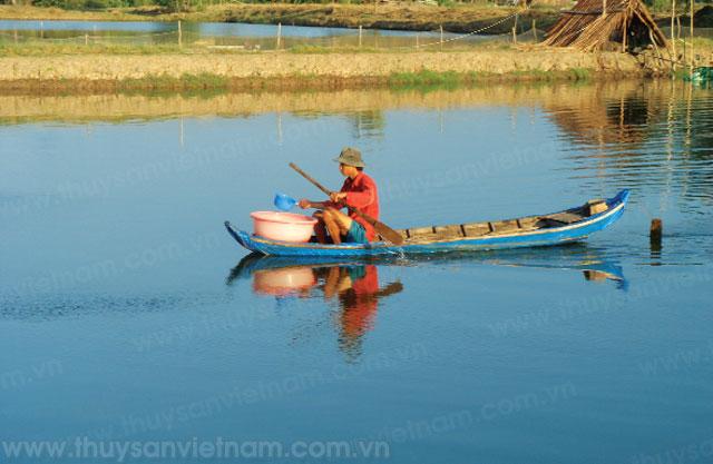 Tác dụng của vi sinh trong nuôi trồng thủy sản