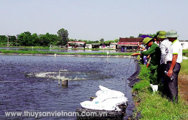 Ngành thủy sản đang gặp khó khăn do ảnh hưởng xấu của biến đổi khí hậu