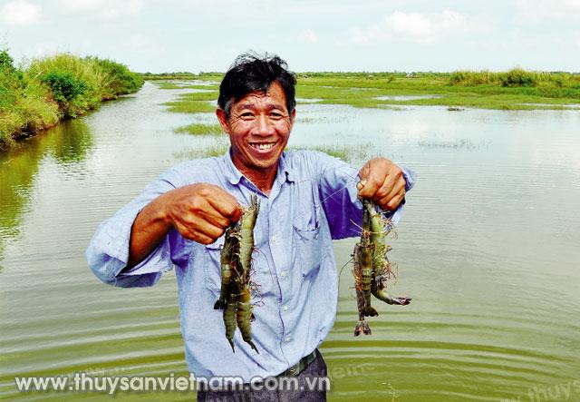 Ông Nguyễn Trần Lĩnh phấn khởi khi năng suất tôm trên 300 kg/ha/vụ   Ảnh: Hoàng Diệu