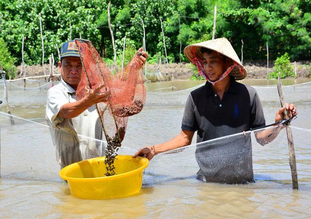 ve xu u minh xem mo hinh tren rung, duoi so, “mo” tien ty hinh anh 1