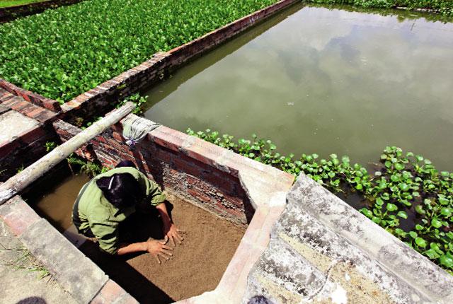 Nuôi tạo ổ đẻ cho ba ba gai ở những hồ lớn