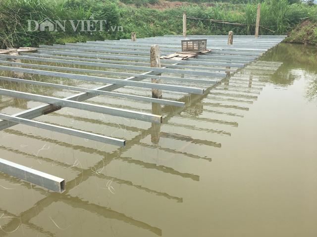 ky cong nuoi "dan ngam mieng nha ngoc" , trai lang 9x thu tien ty hinh anh 1