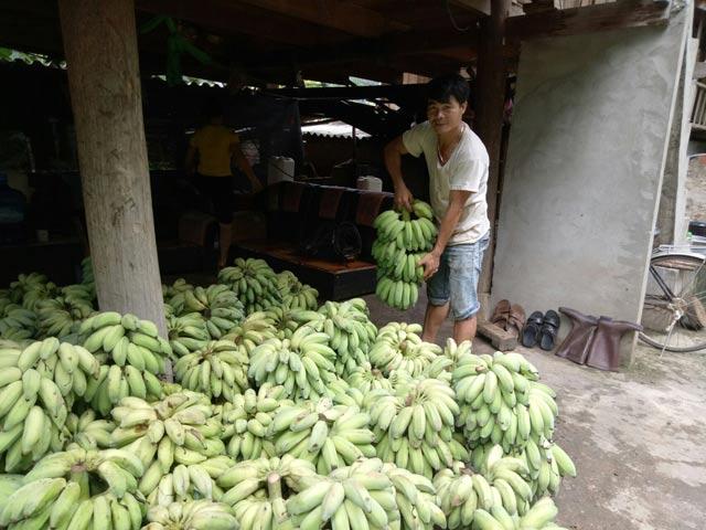 chuyen sang nghe buon chuoi, moi ngay kiem 500 ngan dong hinh anh 2