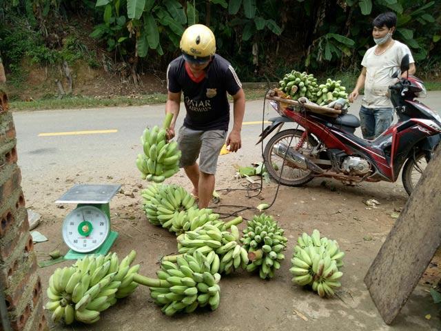 chuyen sang nghe buon chuoi, moi ngay kiem 500 ngan dong hinh anh 4