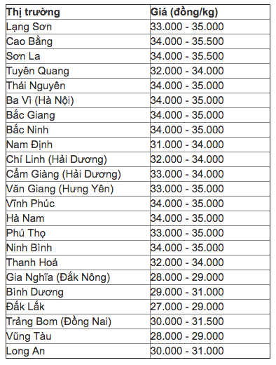 gia lon hoi hom nay 13.7: nhieu noi thuong lai tra tren 35.000 d/kg hinh anh 2