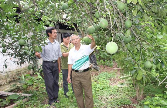 Người bệnh binh nuôi chí làm giàu