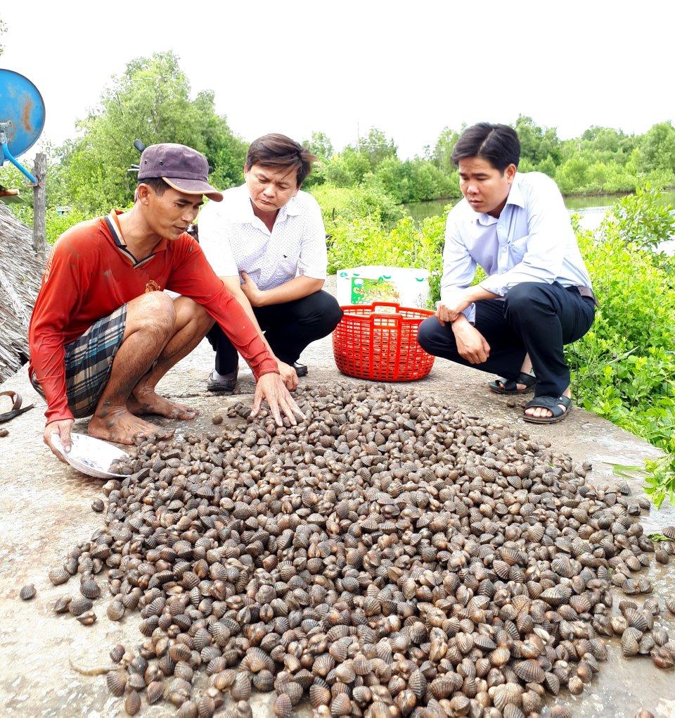 Anh Lộc thu nhập cao nhờ nuôi sò huyết.