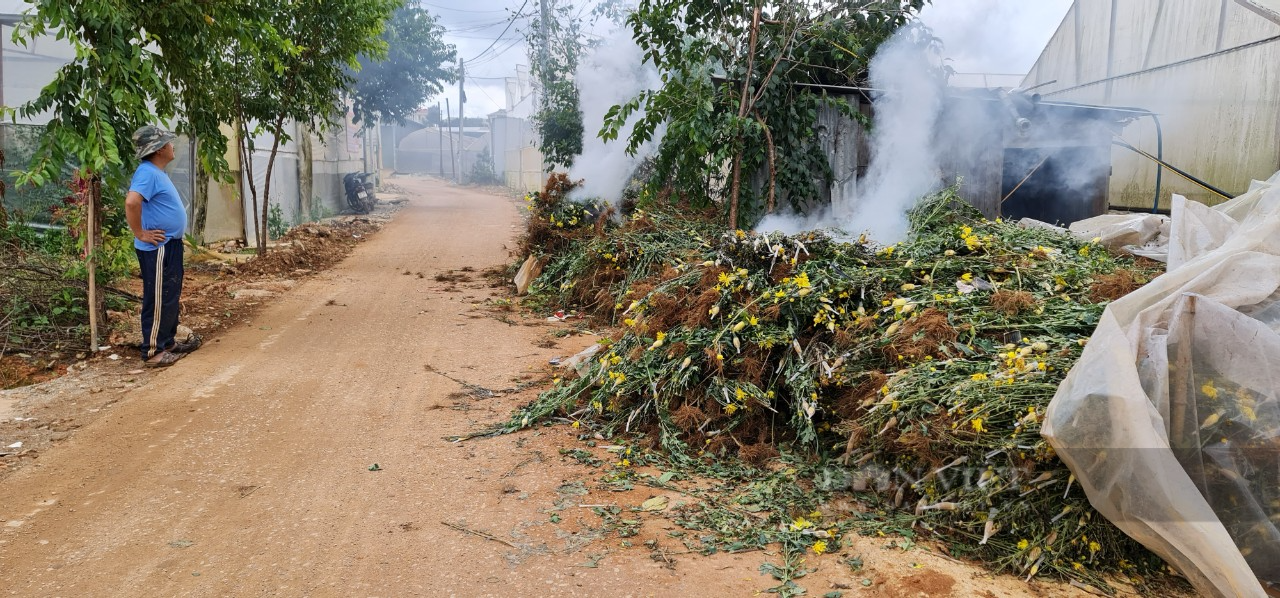 Một người đàn ông ở phương 8, TP.Đà Lạt phải gom hoa ra lề đường đốt do không bán được. Ảnh: Văn Long.