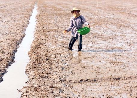 Sản xuất nông nghiệp trong điều kiện khó.