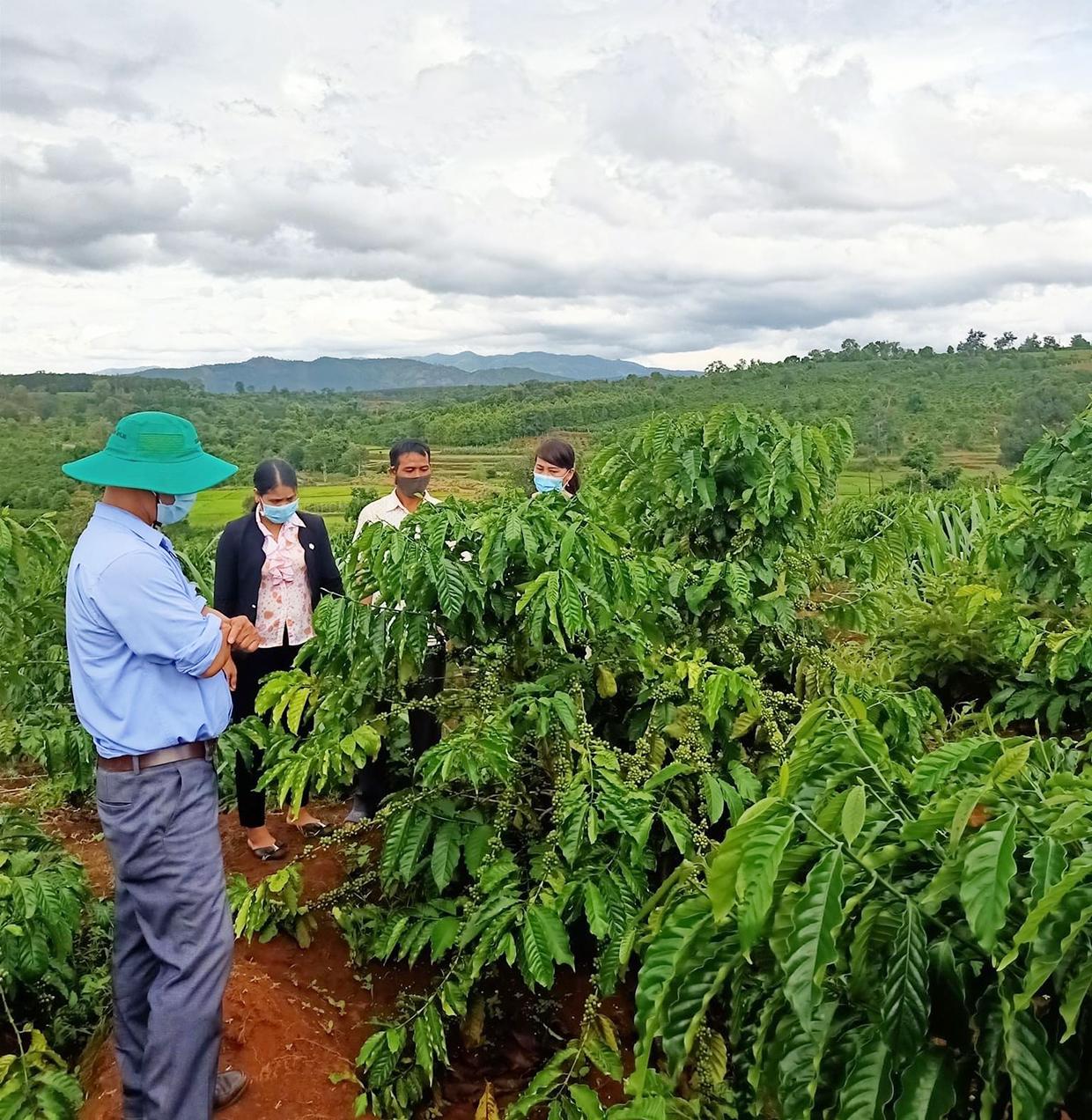 Cán bộ HND huyện hướng dẫn hội viên Rơ Châm Gloan (làng Al,  xã Ia Mơ Nông) trong việc trồng, chăm sóc cây cà phê. Ảnh: Phương Dung