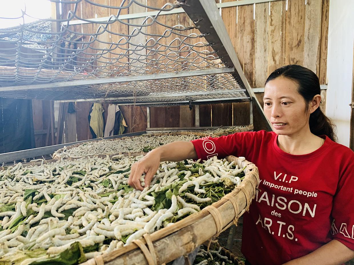 Bà Nguyễn Thị Duyên (làng Păng Gol-Phù Tiên, xã Ia Bă) mong chính quyền giúp người dân liên kết được với doanh nghiệp uy tín để bao tiêu sản phẩm. Ảnh: Nhật Hào