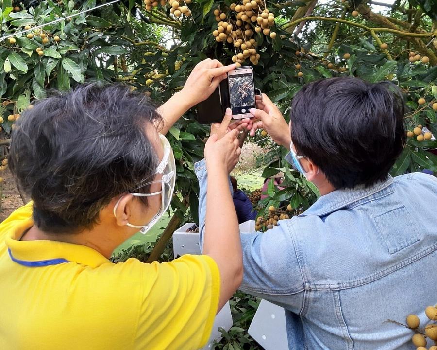 Nền tảng số “Made in Việt Nam”: Nâng tầm nông sản Việt