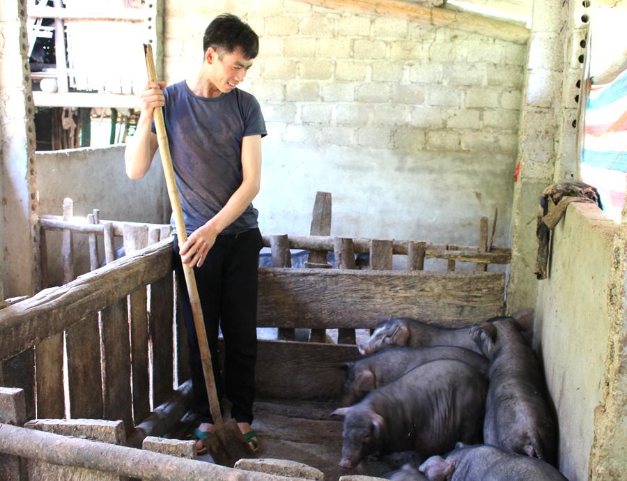 Anh Giàng Mí Hải vệ sinh chuồng nuôi.