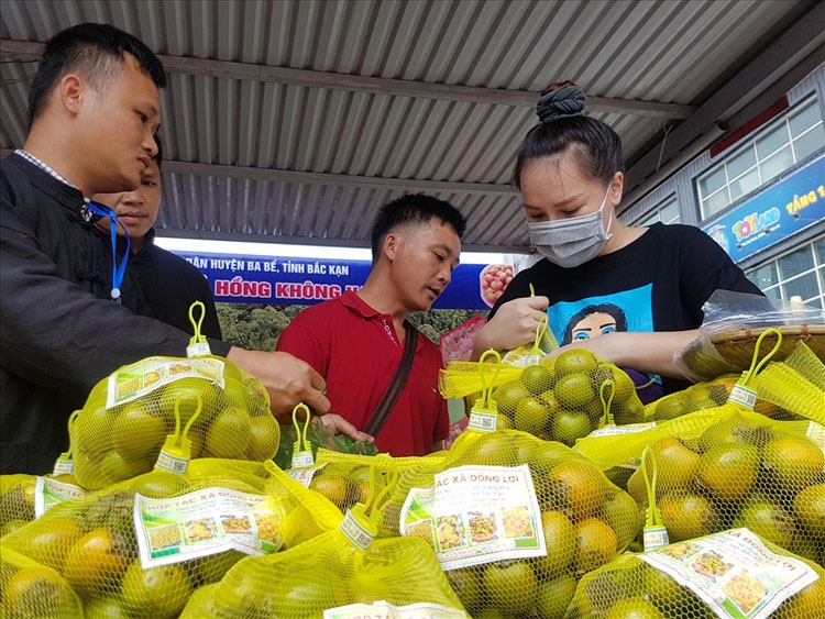 Đưa nông sản Bắc Kạn lên sàn thương mại điện tử