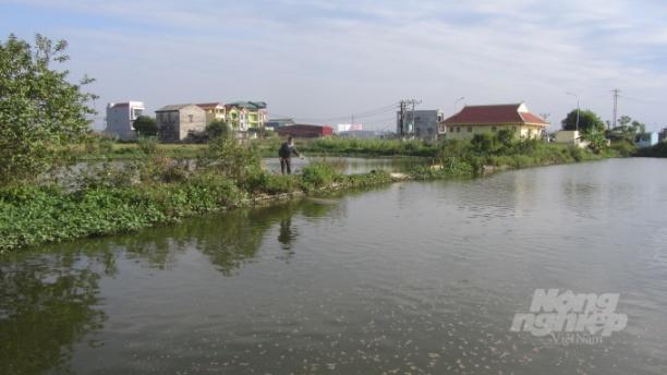 Trang trại nuôi trồng thủy sản của ông Trần Kim Tươi. Ảnh: H.Tiên.