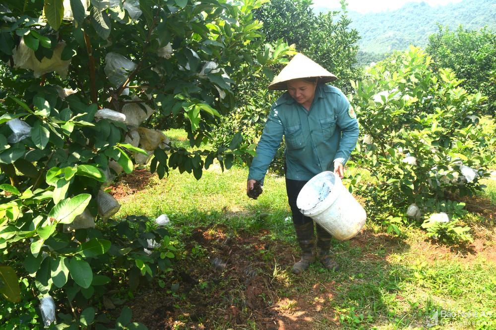 Nông dân tăng cường sử dụng phân hữu cơ, giảm chi phí đầu vào cho vụ xuân