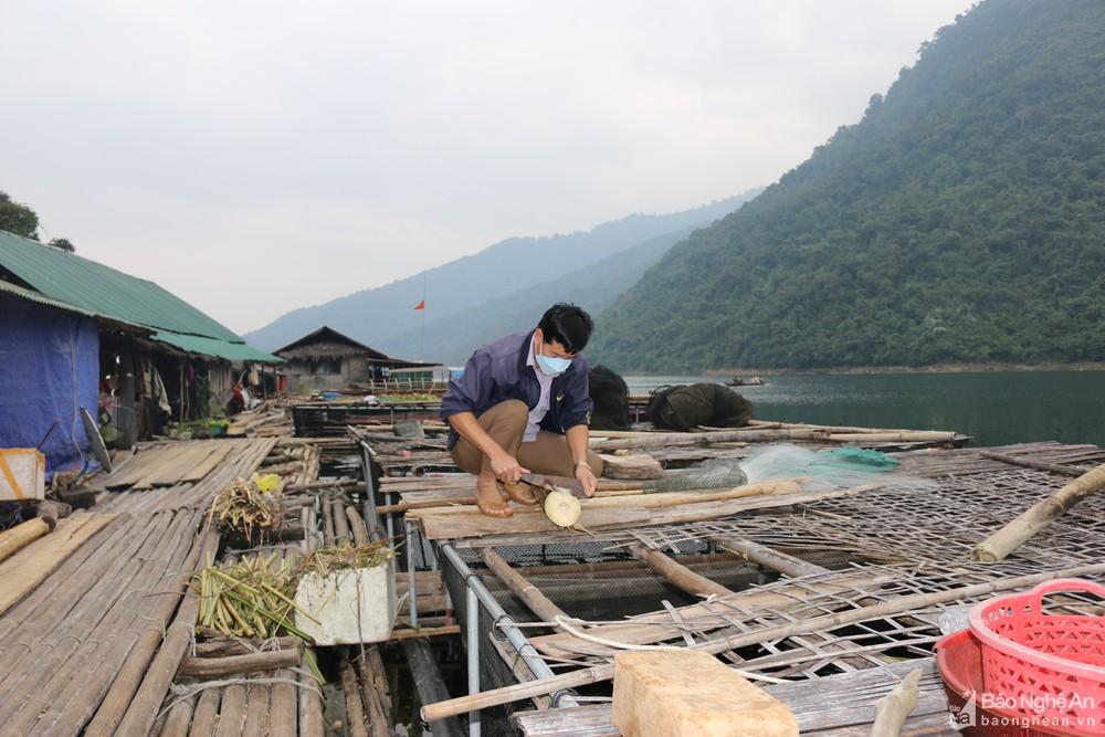 Hướng phát triển kinh tế từ nuôi cá lồng trên lòng hồ ở huyện Tương Dương