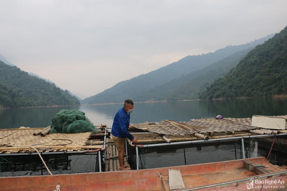 Hướng phát triển kinh tế từ nuôi cá lồng trên lòng hồ ở huyện Tương Dương