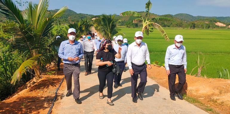 Đoàn công tác Văn phòng Điều phối xây dựng nông thôn mới Trung ương thăm mô hình sản xuất lúa ứng dụng công nghệ cao tại xã Gia Viễn
