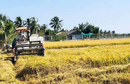 Vĩnh Long phát triển sản phẩm ứng dụng công nghệ cao thích ứng biến đổi khí hậu, phù hợp với lợi thế của tỉnh.