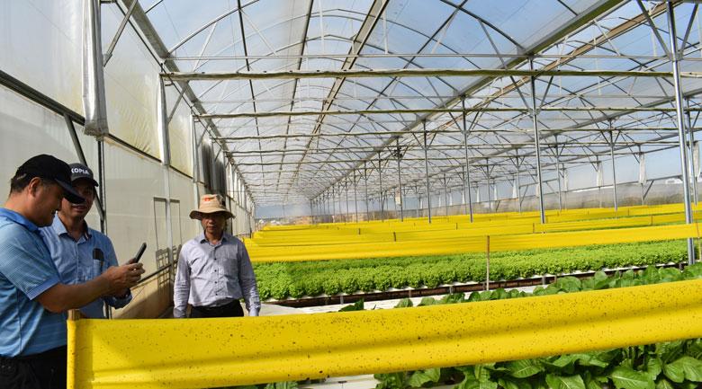Năm 2021, diện tích nông nghiệp công nghệ cao trên địa bàn Lâm Đồng đạt 63.108 ha, chiếm 21% tổng diện tích canh tác và tăng 2.880 ha so với năm 2020.