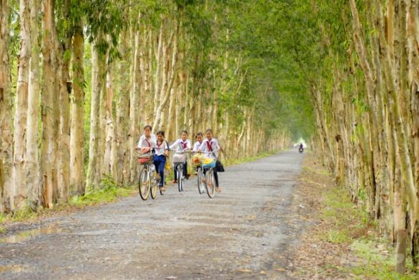 Trồng cây phân tán trong nhân dân làm cho cảnh quan ngày càng trở nên xanh, sạch, đẹp. Ảnh: Lê Hoàng Vũ.