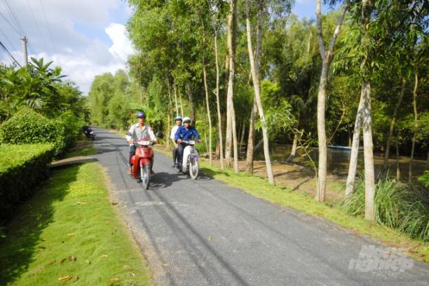 Trồng cây phân tán trong nhân dân mang lại nhiều lợi ích thiết thực cho cộng đồng. Ảnh: Lê Hoàng Vũ.