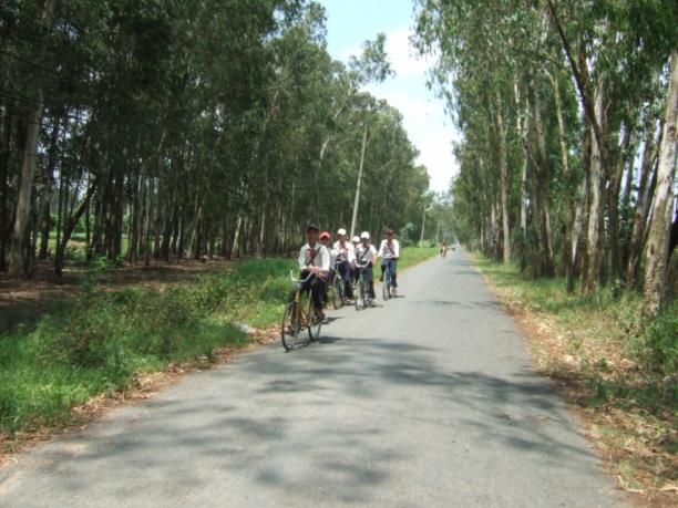 Trồng cây xanh phân tán cần được chú trọng đầu tư nguồn lực, xây dựng phong trào hơn nữa thời gian tới. Ảnh: Ngô Văn Đây.