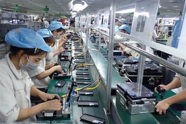 Co cau hang Viet Nam xuat khau sang Singapore tuong doi ben vung hinh anh 1