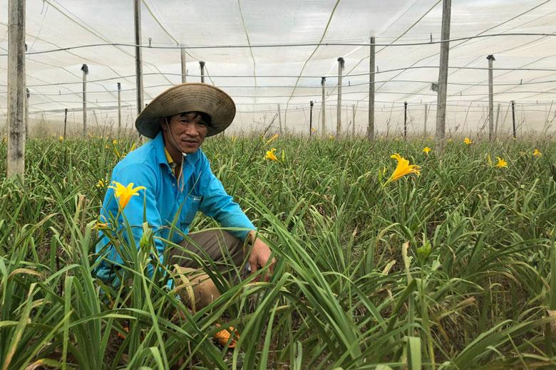 Anh Lê Vĩnh Phúc trong vườn kim châm