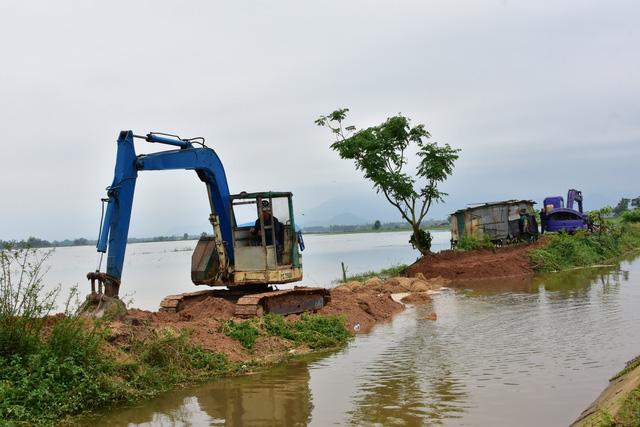 Thừa Thiên Huế: Khẩn trương cứu lúa và hoa màu ngập úng do mưa lũ - Ảnh 4.