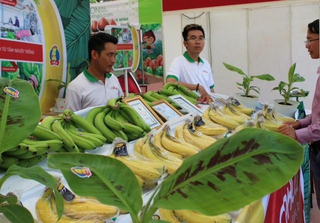Xuất khẩu nông sản rộng cửa tăng trưởng - Ảnh 2. Xuất khẩu nông sản rộng cửa tăng trưởng - Ảnh 2.