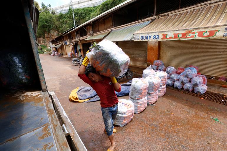 Dự báo nông sản Lâm Đồng giá cả khá ổn định thời gian tới