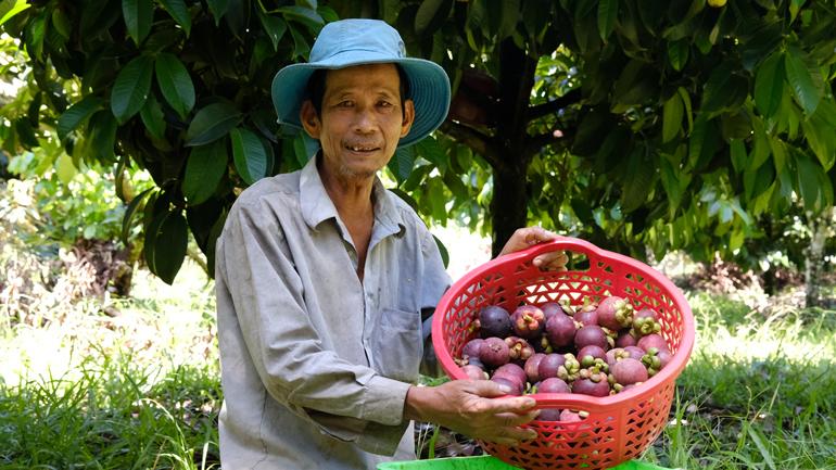 Nông dân vui mừng bởi chứng nhận sản xuất hữu cơ làm gia tăng giá trị nông sản