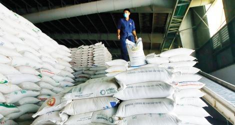 Gạo Việt chinh phục thị trường khó tính