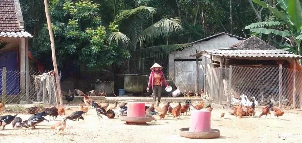20 năm tín dụng chính sách đồng hành cùng huyện nghèo Quỳ Châu ảnh 2