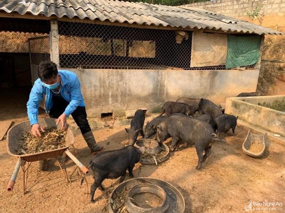 20 năm tín dụng chính sách đồng hành cùng huyện nghèo Quỳ Châu ảnh 4