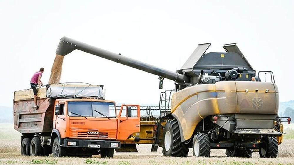 Nga và Ukraine đạt thỏa thuận đột phá về xuất khẩu ngũ cốc