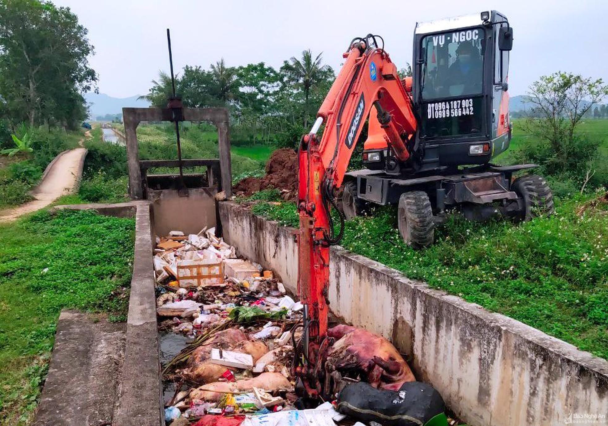 Bức xúc tình trạng rác thải, xác động vật xả thải ra kênh mương tại Quỳnh Lưu ảnh 7